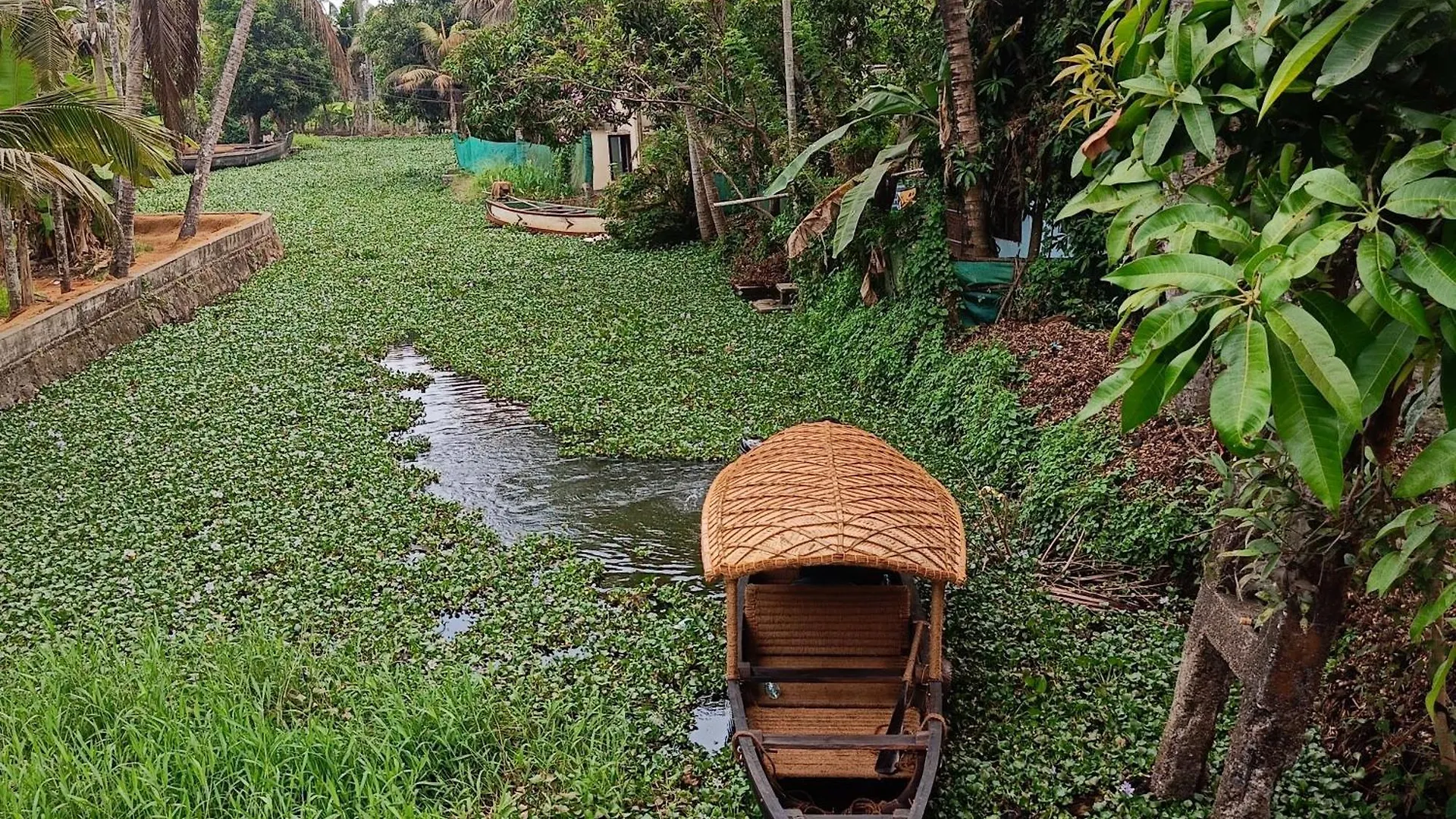 Paddy N Canal Homestay Alappuzha
