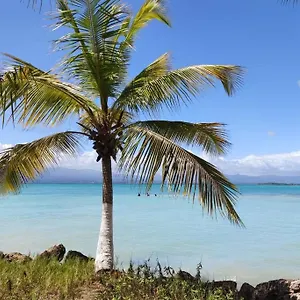 https://pause_yuccas.comcaribbean.com
