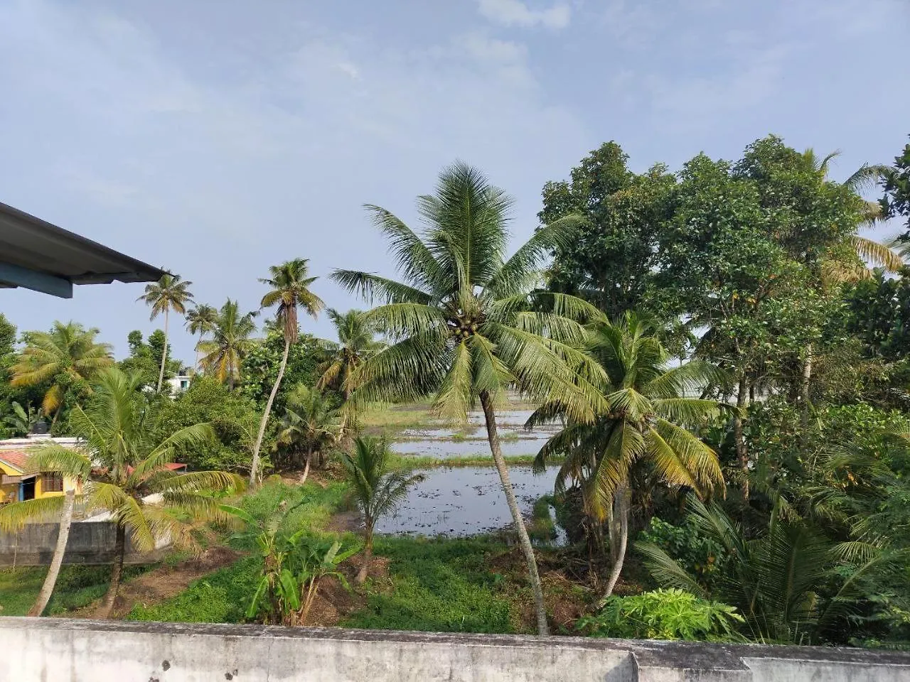 Paddy N Canal Homestay Alappuzha