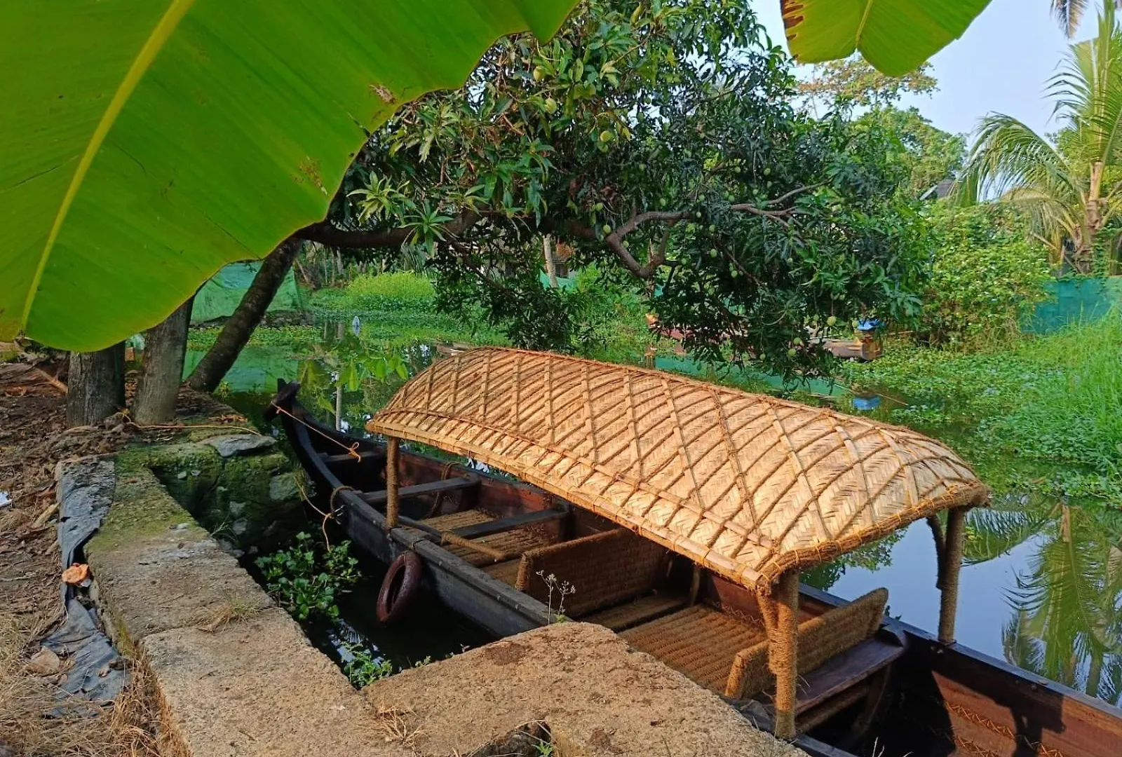 Paddy N Canal Homestay Alappuzha India