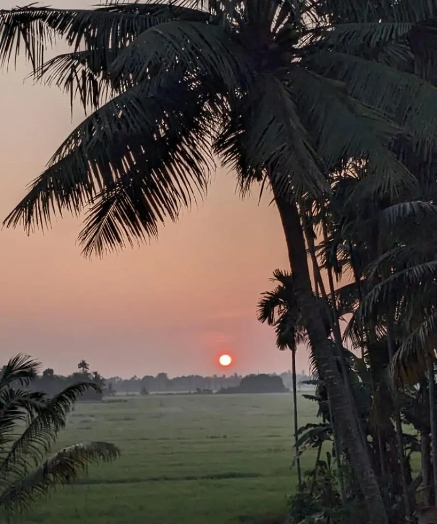 Paddy N Canal Homestay Alappuzha Indie